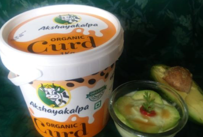 Avocado Whisk with Akshayakalpa Organic Curd