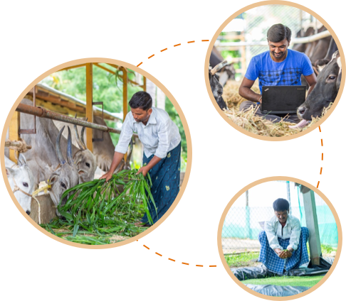 Akshayakalpa's core focus at elevating farmers through support, wealth opportunities, and stable incomes for their families.