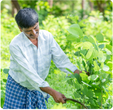 Akshayakalpa sustainable farmer