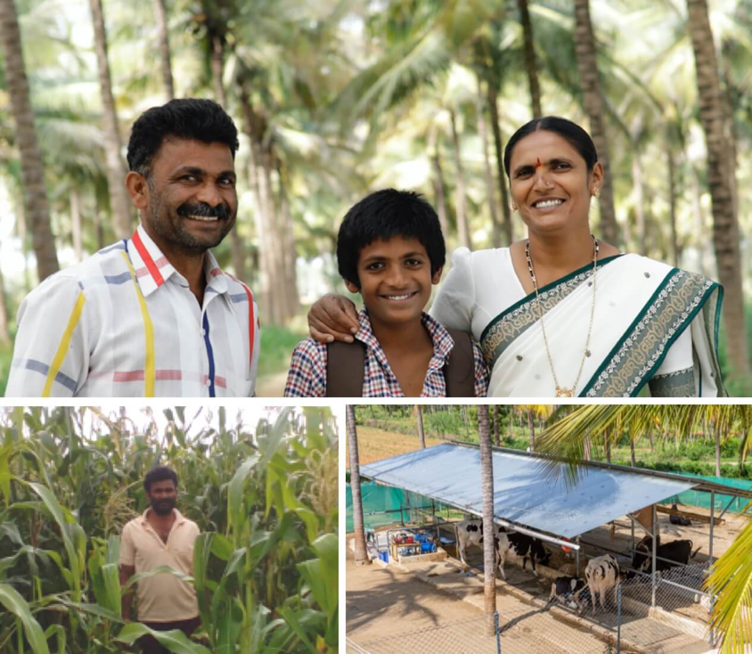 Farmer's Nagaveni & Rangegowda: from 5 to 20 cows, 50 to 140 liters/day, transforming income with Akshayakalpa support.