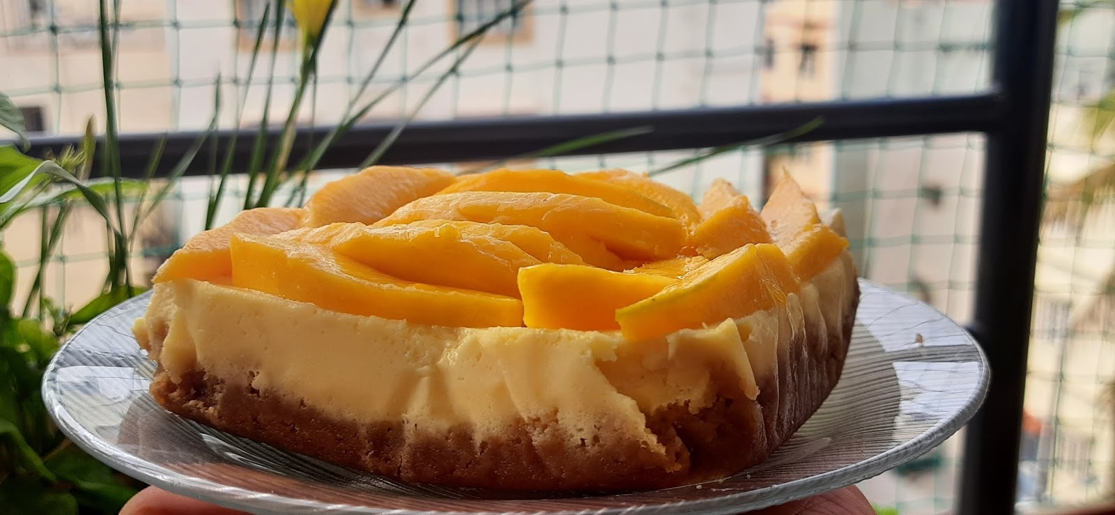 Mango Cheesecake