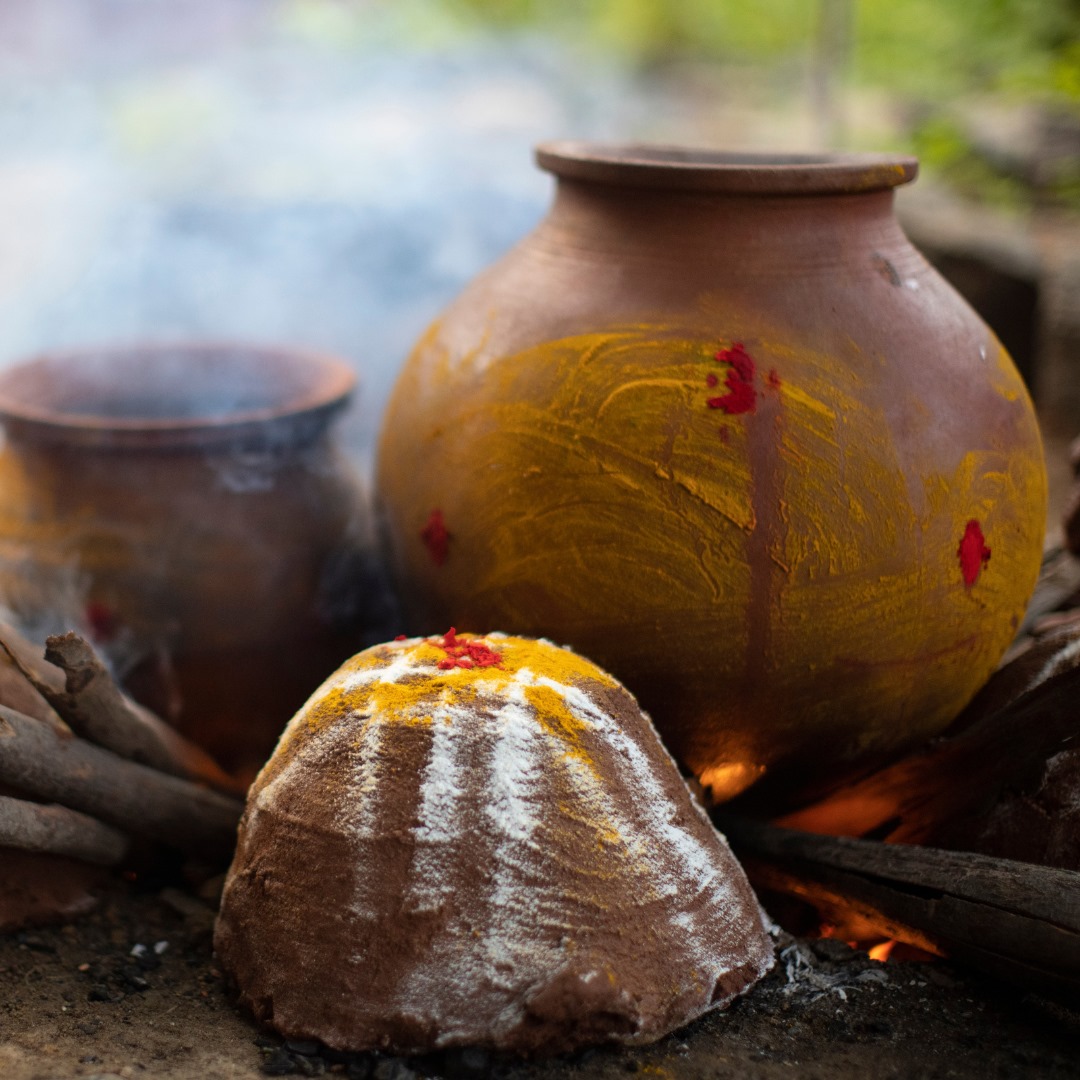 Pongal Celebrations Galore at Akshayakalpa Organic!