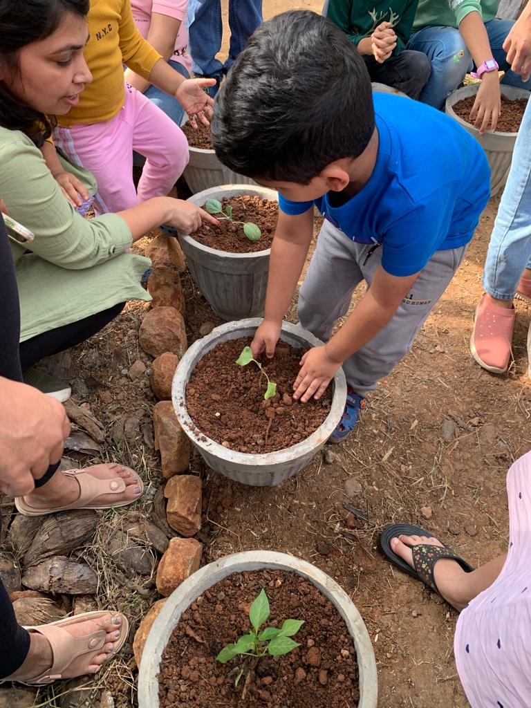 Soil: The antidepressant you didn’t know you needed!