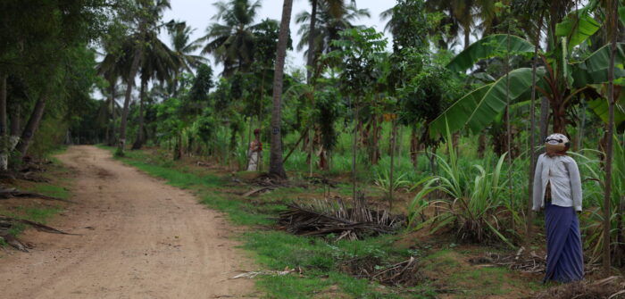 2024-0526 Pooriyambakkam Farm 11