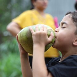 boy drinking coconut boy drinking coconut
