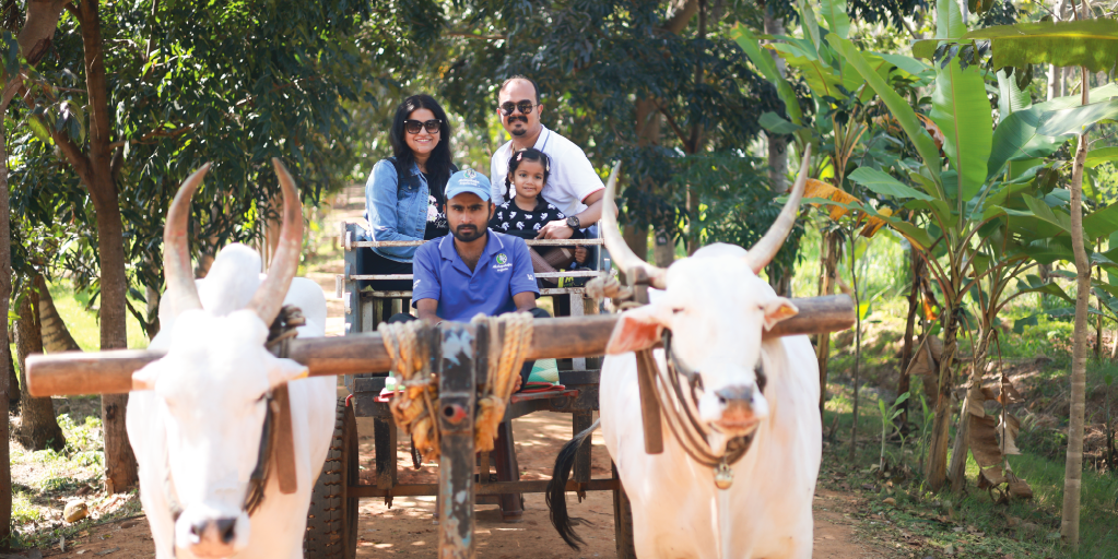 Why you should visit the Akshayakalpa Organic farms: A rejuvenating family getaway