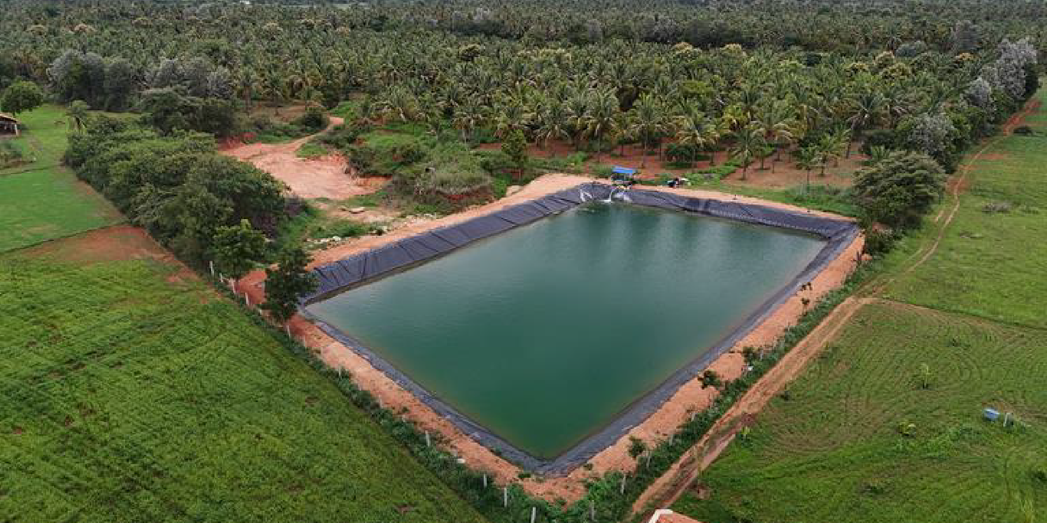 From curious to conscious: How one day at our farm can make a difference