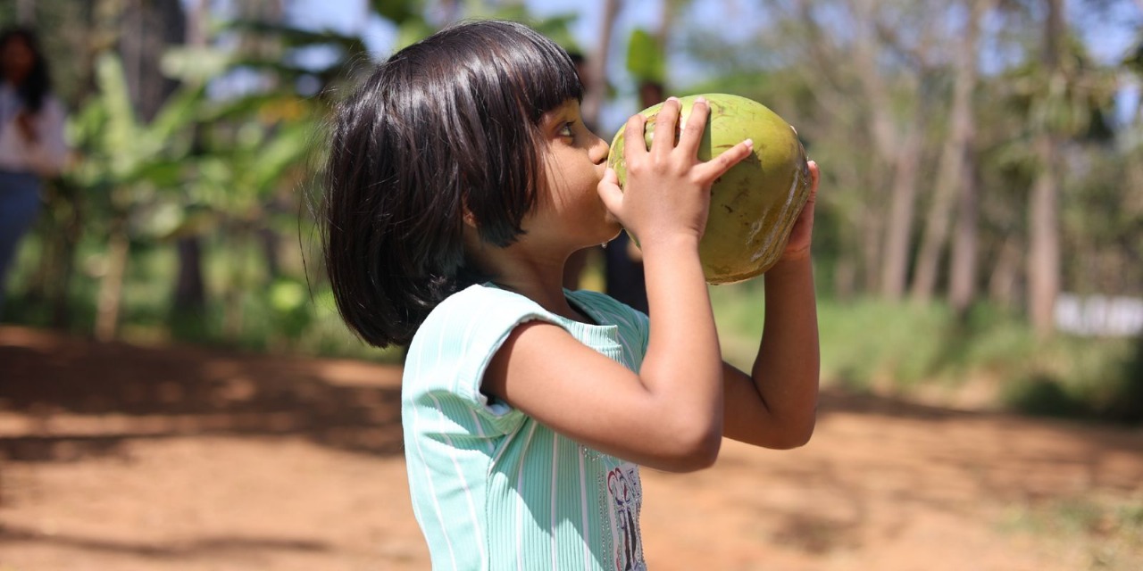 Reconnect with real flavours – Why every child should visit an organic farm