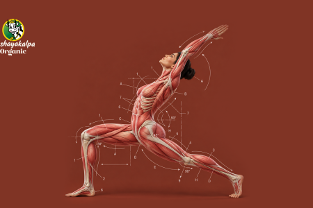 Website Banner